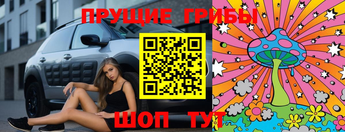 Краснотурьинск  Псилоцибиновые грибы MAGIC MUSHROOMS  Вход с VPN  Псилоцибиновые грибы GOLDEN TEACHER 